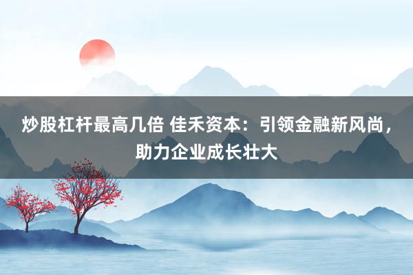 炒股杠杆最高几倍 佳禾资本：引领金融新风尚，助力企业成长壮大
