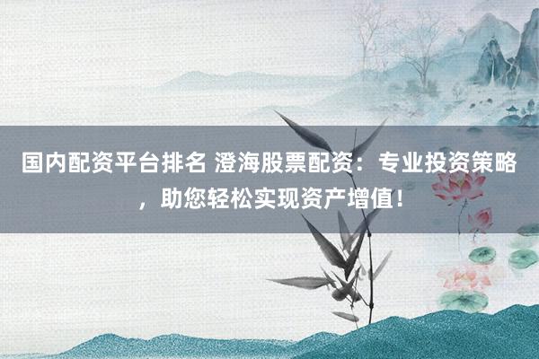 国内配资平台排名 澄海股票配资：专业投资策略，助您轻松实现资产增值！