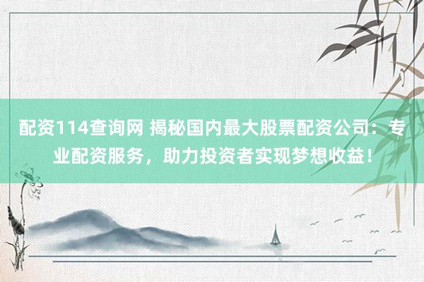 配资114查询网 揭秘国内最大股票配资公司：专业配资服务，助力投资者实现梦想收益！
