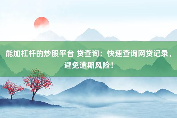 能加杠杆的炒股平台 贷查询：快速查询网贷记录，避免逾期风险！