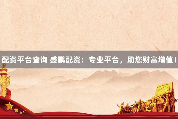 配资平台查询 盛鹏配资：专业平台，助您财富增值！