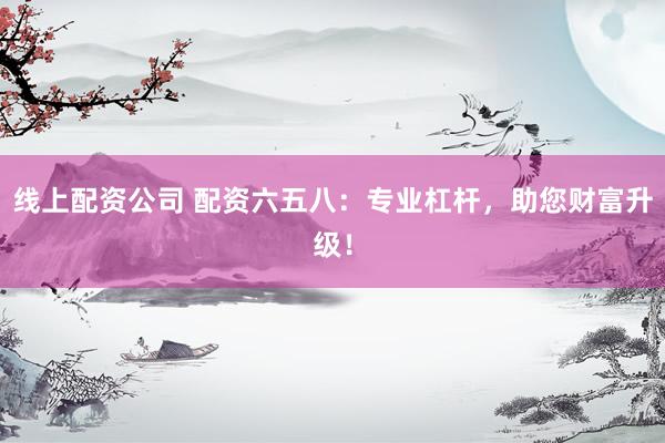 线上配资公司 配资六五八：专业杠杆，助您财富升级！