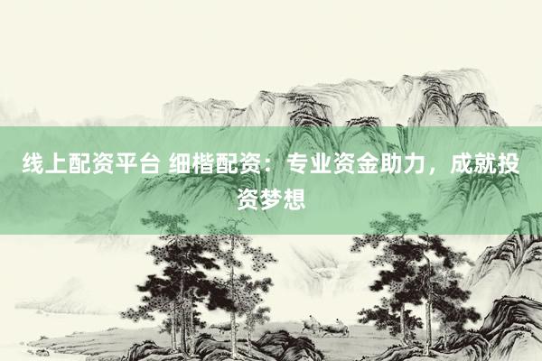 线上配资平台 细楷配资：专业资金助力，成就投资梦想