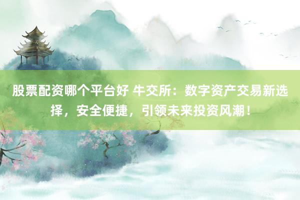 股票配资哪个平台好 牛交所：数字资产交易新选择，安全便捷，引领未来投资风潮！