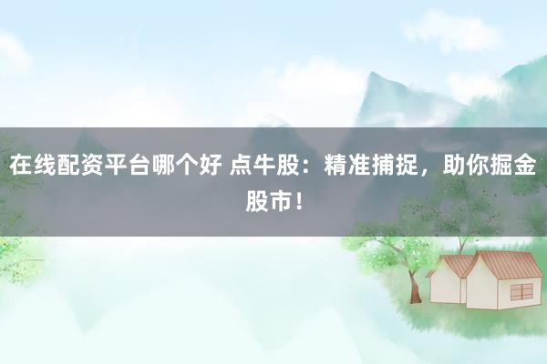 在线配资平台哪个好 点牛股：精准捕捉，助你掘金股市！