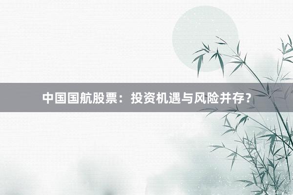 中国国航股票：投资机遇与风险并存？