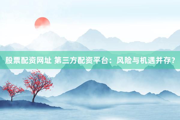 股票配资网址 第三方配资平台：风险与机遇并存？
