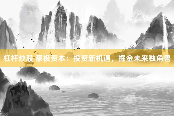 杠杆炒股 豪极资本：投资新机遇，掘金未来独角兽