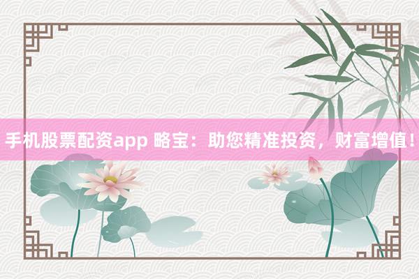 手机股票配资app 略宝：助您精准投资，财富增值！