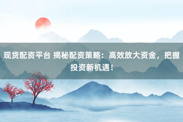 现货配资平台 揭秘配资策略：高效放大资金，把握投资新机遇！