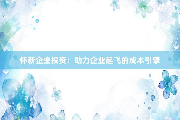 怀新企业投资：助力企业起飞的成本引擎