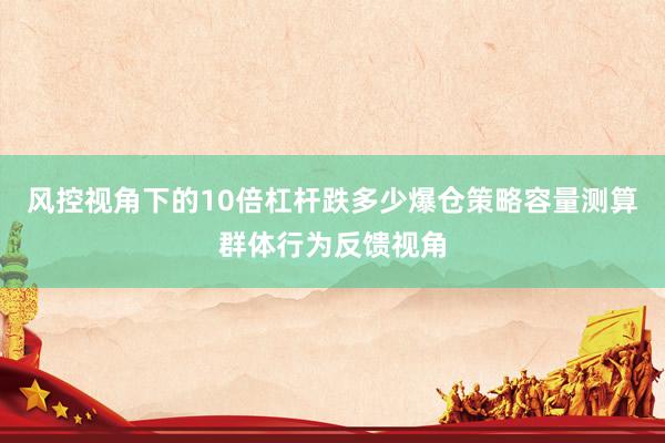 风控视角下的10倍杠杆跌多少爆仓策略容量测算群体行为反馈视角