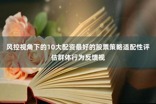 风控视角下的10大配资最好的股票策略适配性评估群体行为反馈视