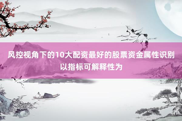 风控视角下的10大配资最好的股票资金属性识别以指标可解释性为