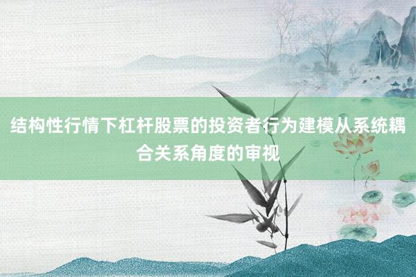 结构性行情下杠杆股票的投资者行为建模从系统耦合关系角度的审视
