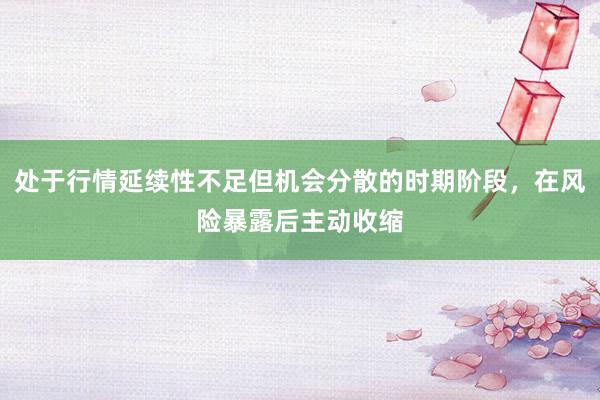 处于行情延续性不足但机会分散的时期阶段，在风险暴露后主动收缩
