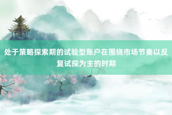 处于策略探索期的试验型账户在围绕市场节奏以反复试探为主的时期