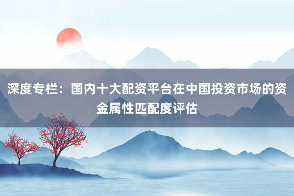 深度专栏：国内十大配资平台在中国投资市场的资金属性匹配度评估